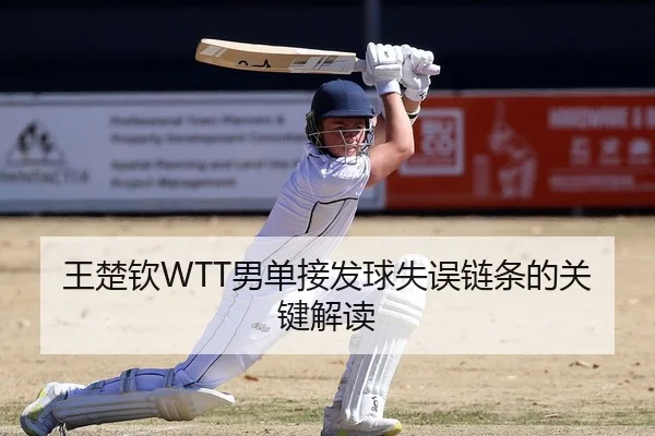 王楚钦WTT男单接发球失误链条的关键解读